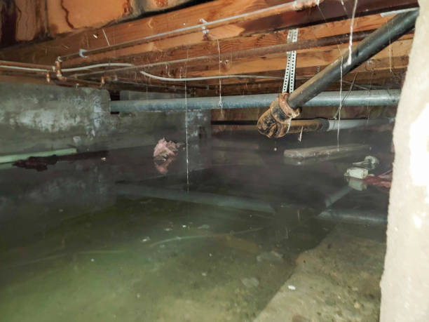 Water damage restoration experts in Fort Knox, KY