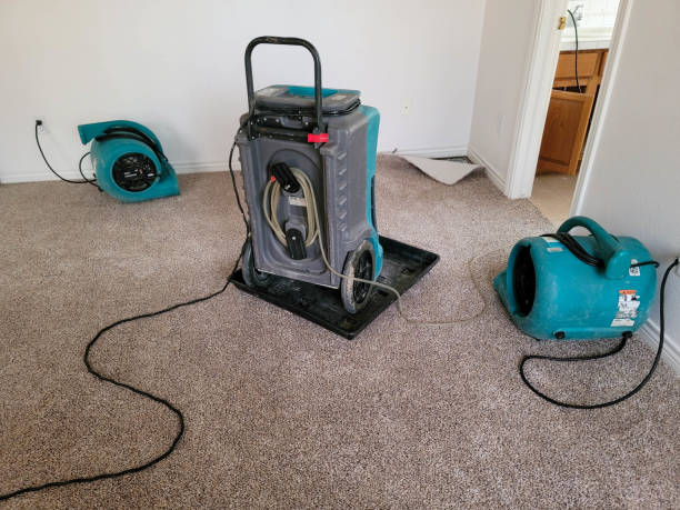  Fort Knox, KY Water damage restoration Pros