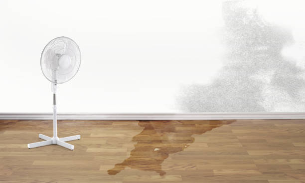 Best Ceiling water damage repair  in Fort Knox, KY