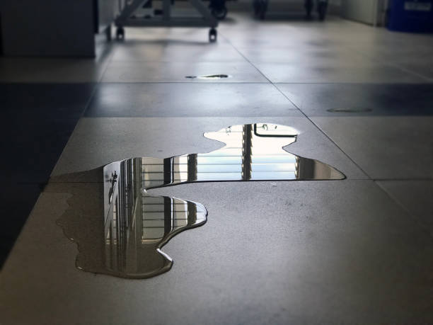 Best Sewage cleanup and water damage restoration  in Fort Knox, KY