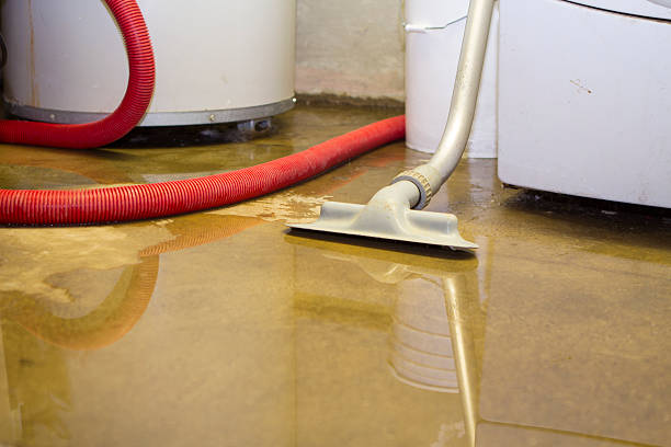 Best Water damage restoration cost  in Fort Knox, KY