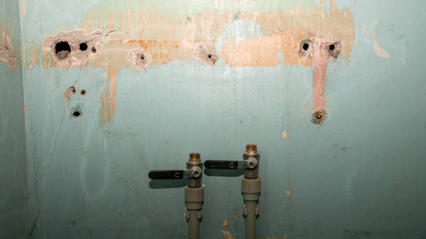 Best 24-hour water damage restoration  in Fort Knox, KY